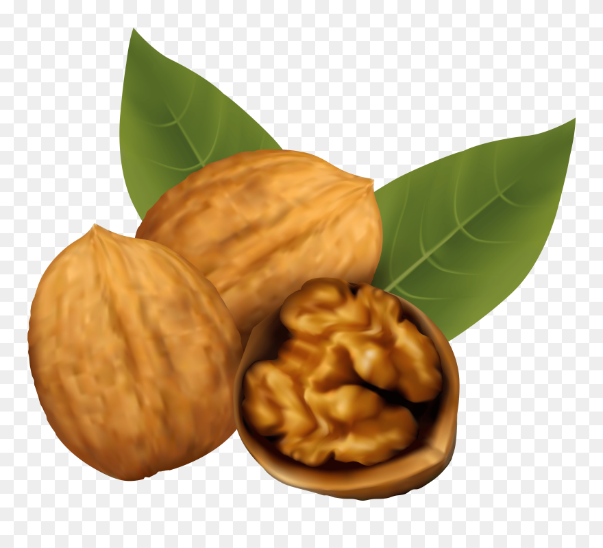 Nuts Clipart Walnut, Nuts Walnut Transparent Free For - Transparent Walnut Clipart - Png Download