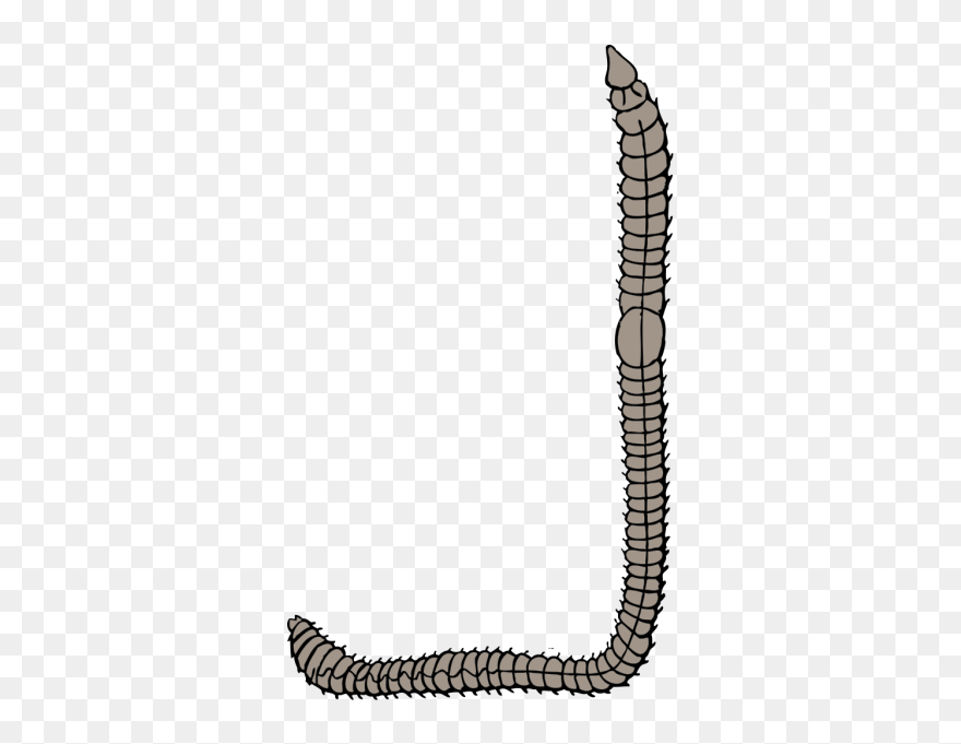 Earth Worm Png Clip Art - Worm Clip Art Transparent Png