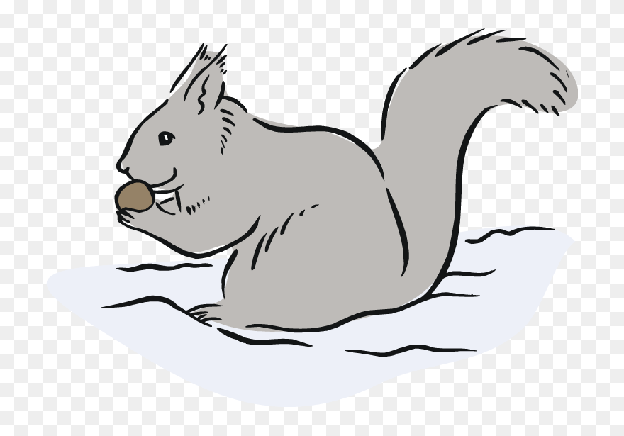 Free Gray Squirrel Cliparts, Download Free Clip Art, - Gray Squirrel Clipart - Png Download