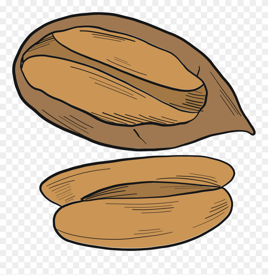 Pecan Clipart - Png Download