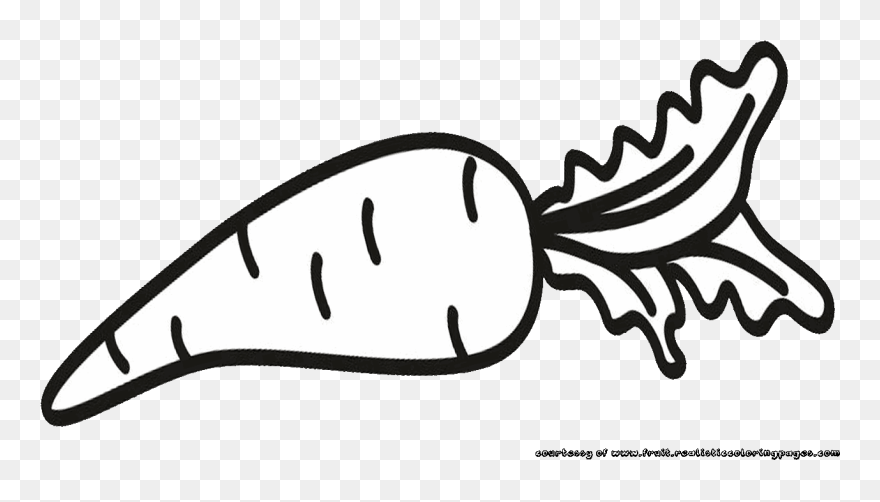 Download Fruits Clipart Carrot - Black And White Fruit Clipart - Png Download