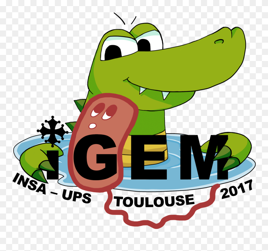 Pumpkin Clipart Diviser Black And White Library Team - Cartoon - Png Download