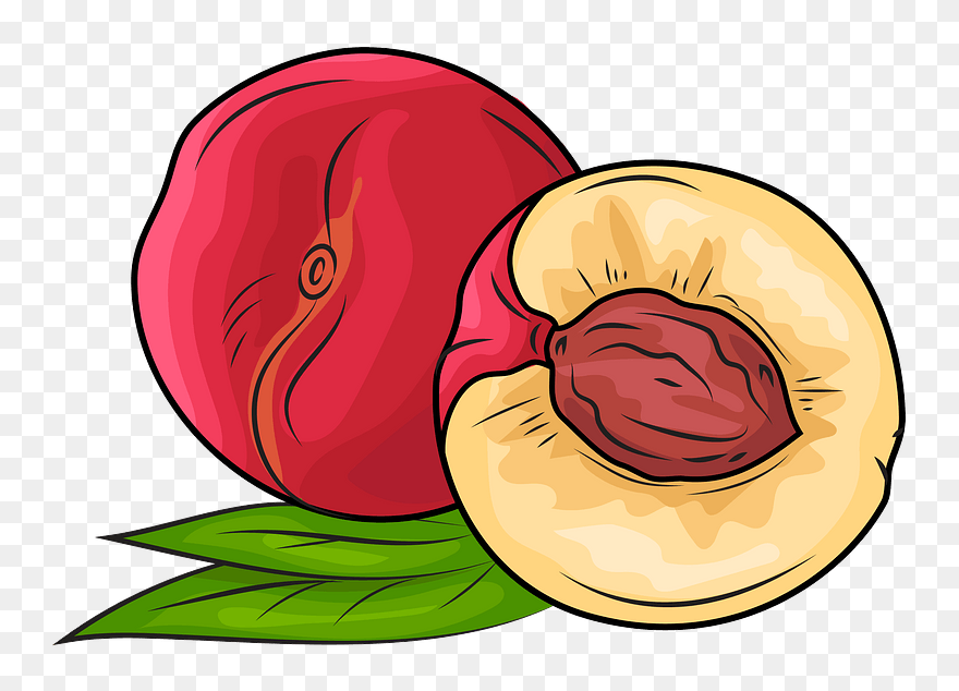 Whole Nectarine And A Half Clipart - Png Download