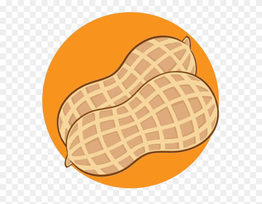 Peannut - Bun Clipart
