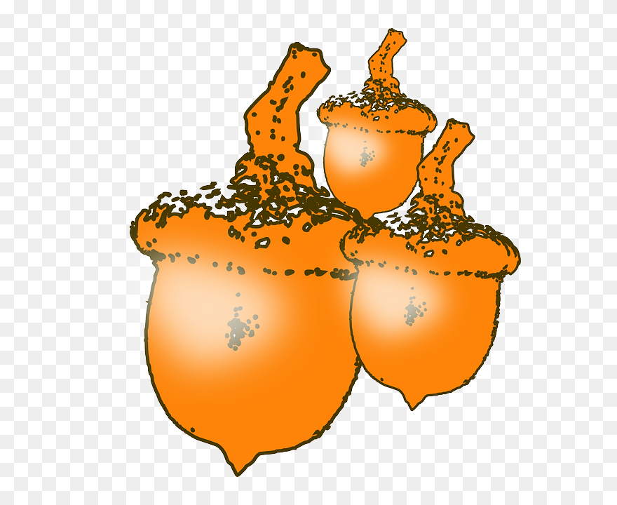 Food, Fruit, Tree, Acorn, Cartoon, Plant, Nut, Nuts - Animated Nuts Clipart