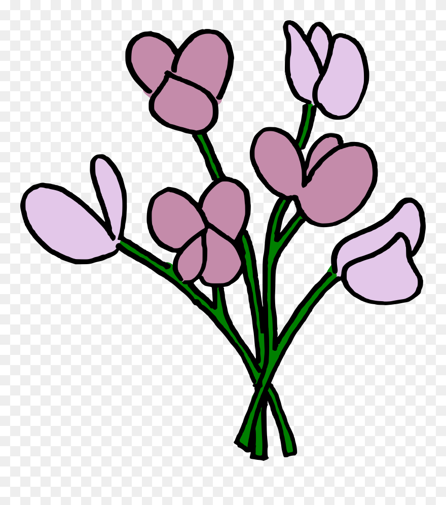 Flower Bulbs Clipart Vector Freeuse Library Name That - Dibujo Flores Arveja - Png Download