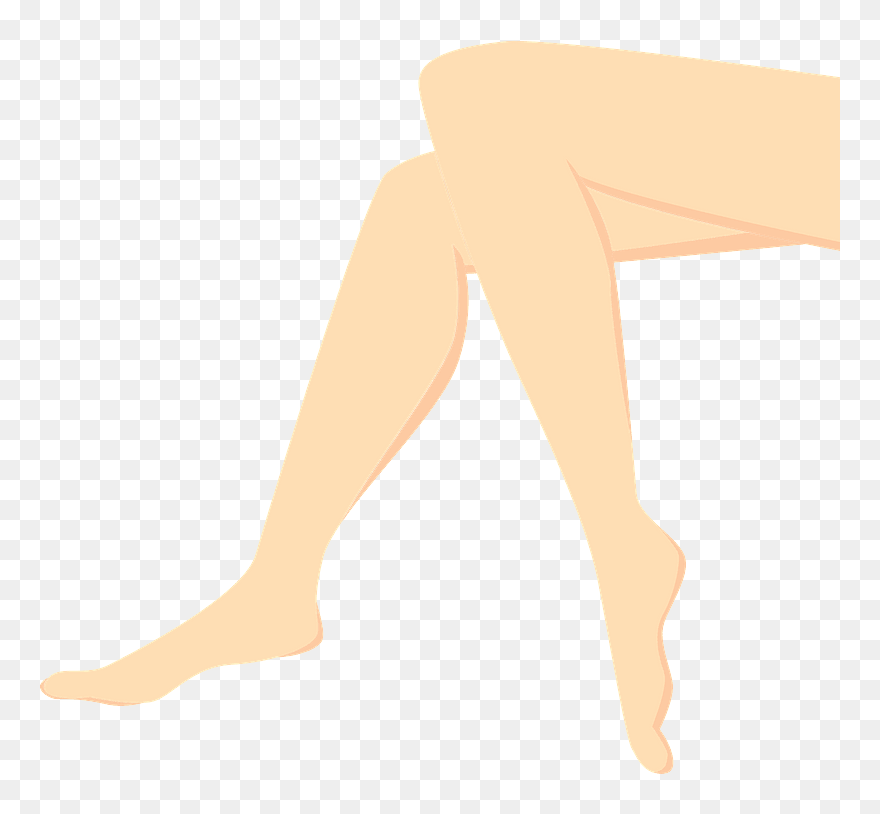 Leg Feet Clipart - Illustration - Png Download