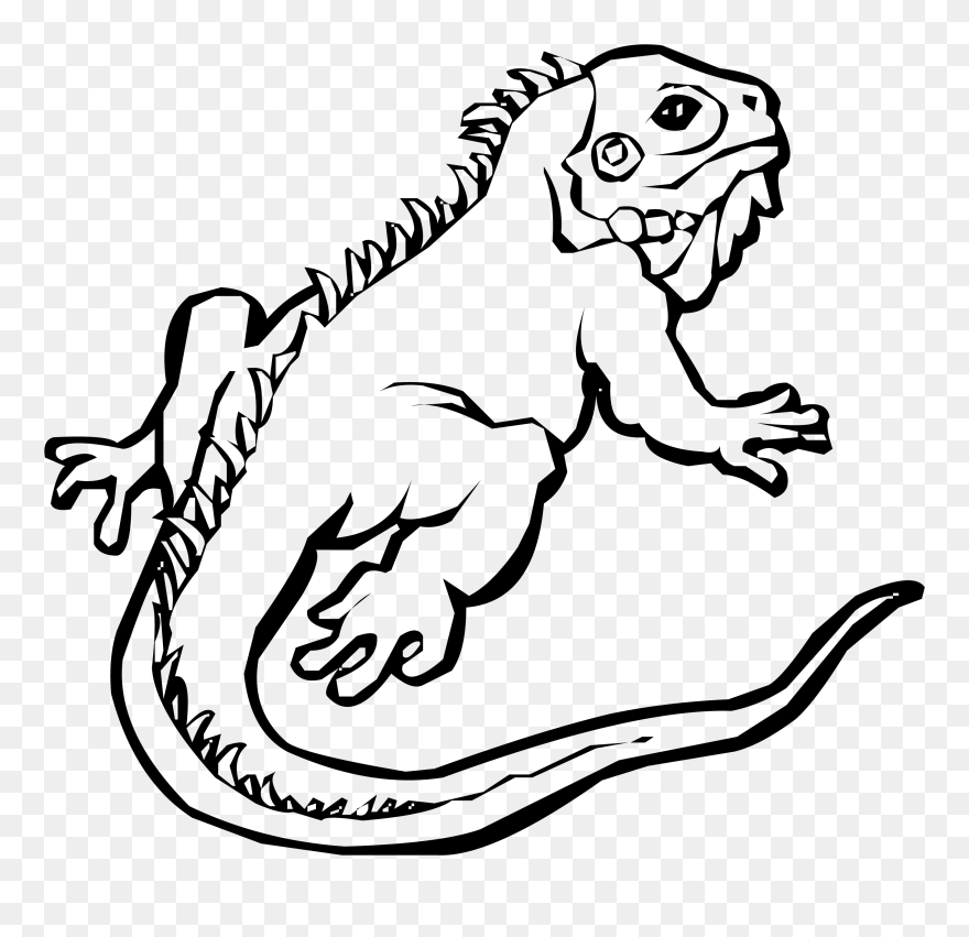 Free Iguana Clipart Black And White, Download Free - Outline Iguana Clipart - Png Download