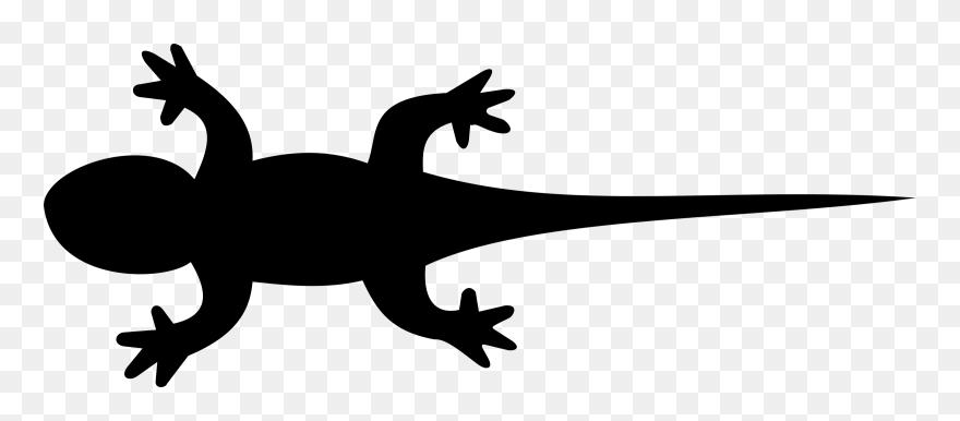 Lizard Gecko Silhouette Clip Art - Lizard Silhouette - Png Download