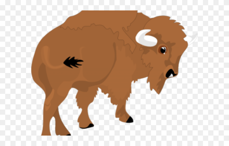 Iguana Clipart Face - Bison Png Clipart Transparent Png