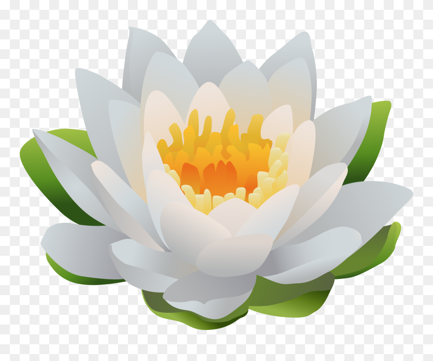 Water Lily Png Clip Art Image Transparent Png