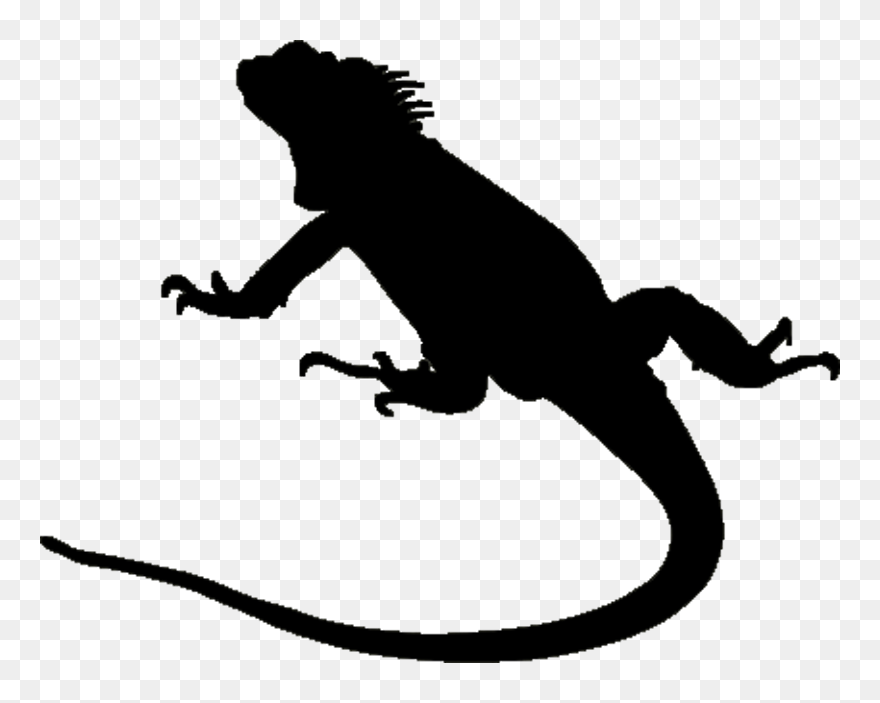 Silhouette At Getdrawings Com - Iguana Silhouette Clipart
