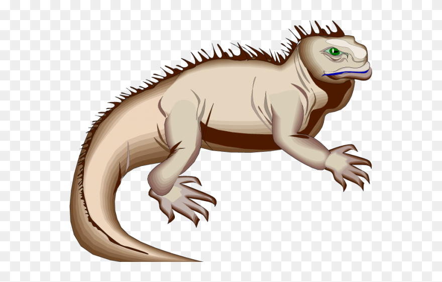 Iguana Clipart Wild Animal - Plazy Obojživelníky - Png Download