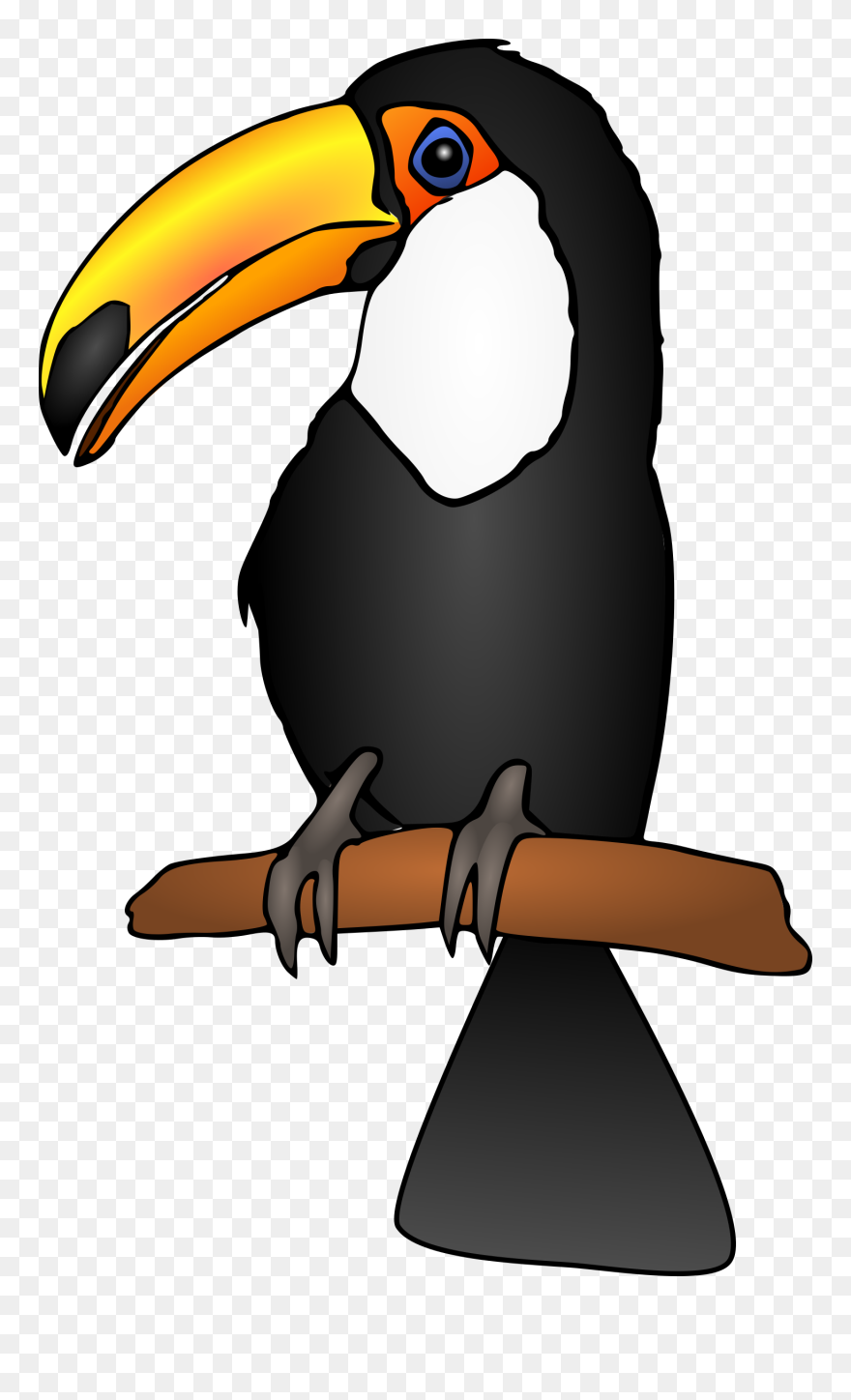 Collection Of Toucan - Toucan Clipart - Png Download