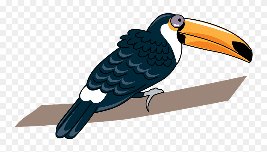 Toucan Clipart - Toucan - Png Download