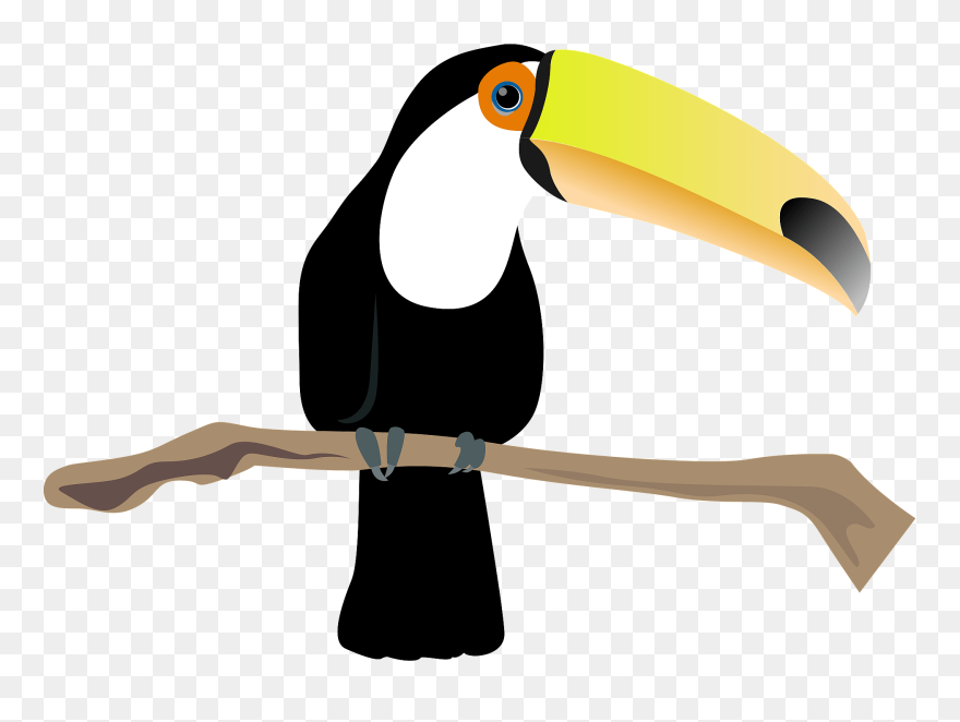 Toucan Clipart - Png Download