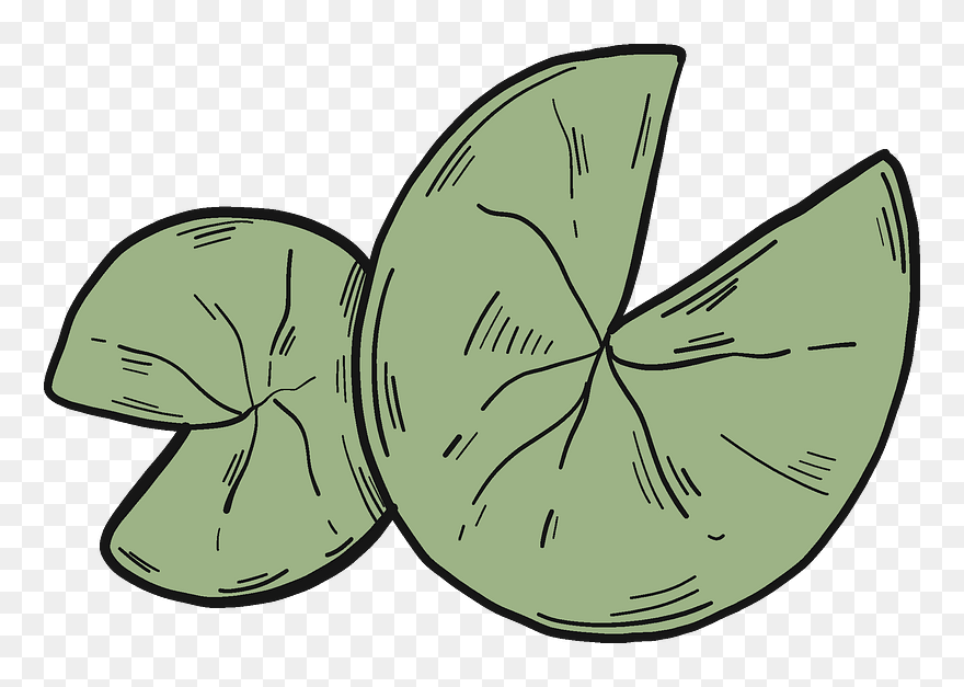 Lily Pads Clipart - Moths And Butterflies - Png Download