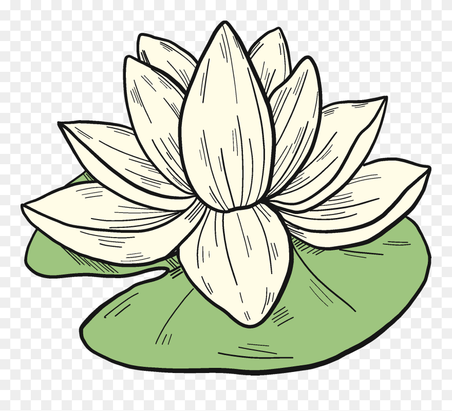 Sacred Lotus Clipart