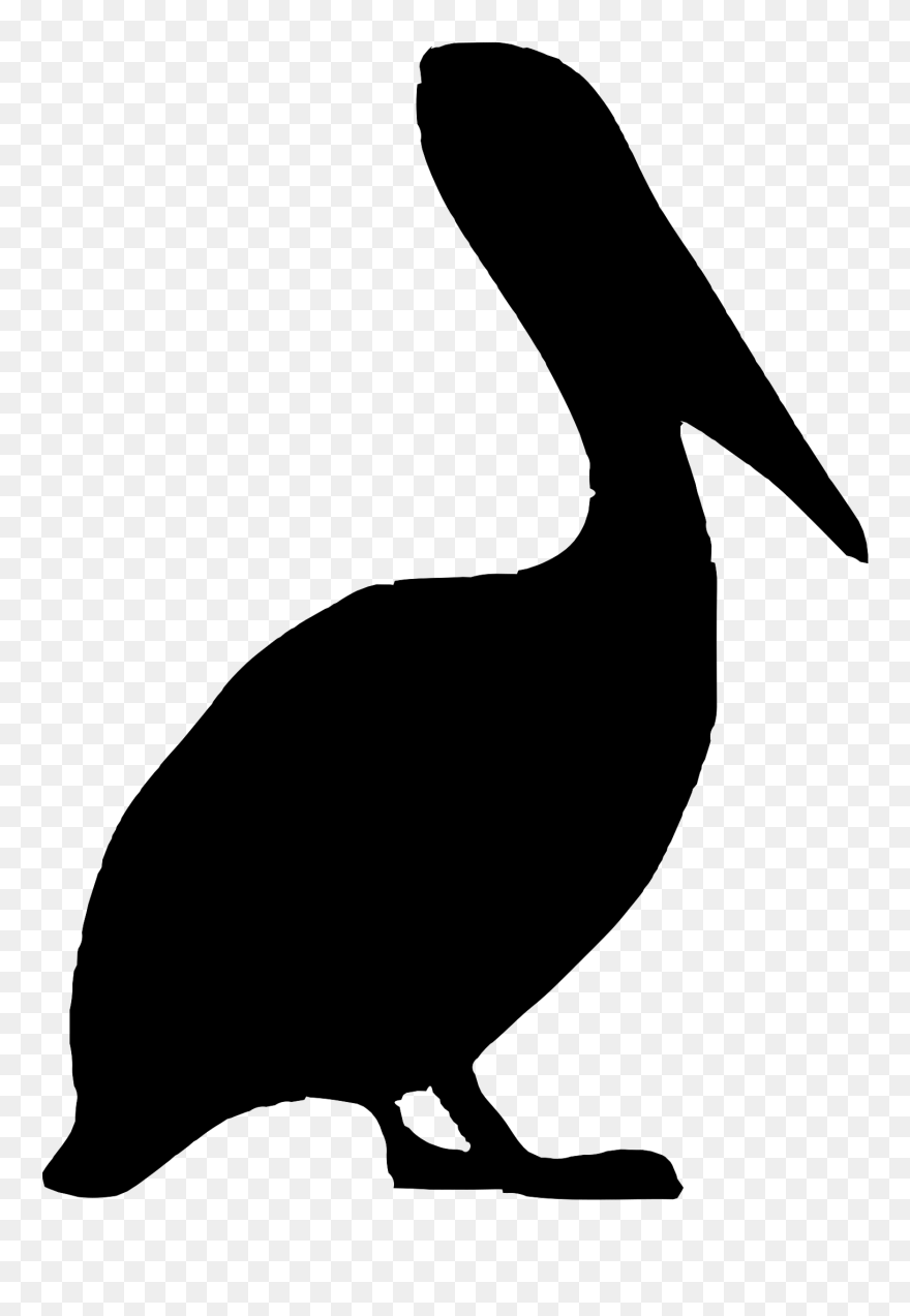 Bird Brown Pelican Clip Art - Pelican Clip Art - Png Download