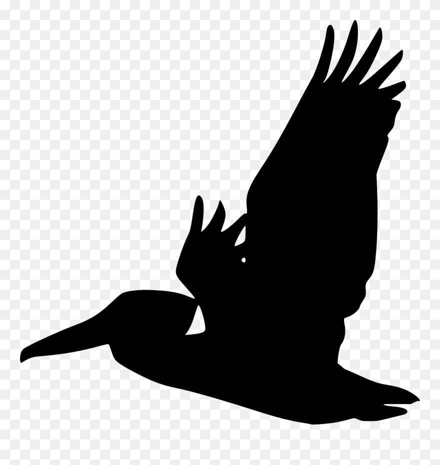 Pelican Bird Silhouette Clip Art - Silhouette Pelican Clipart - Png Download