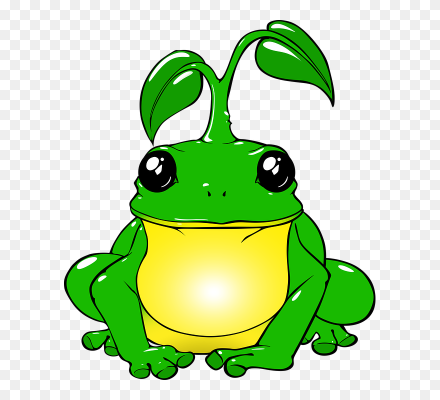Bullfrog Clipart Frog Lily Pad - Frog Drawing Png Transparent Png