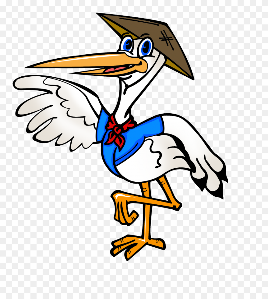 Pelican Clipart Mascot - Cartoon - Png Download