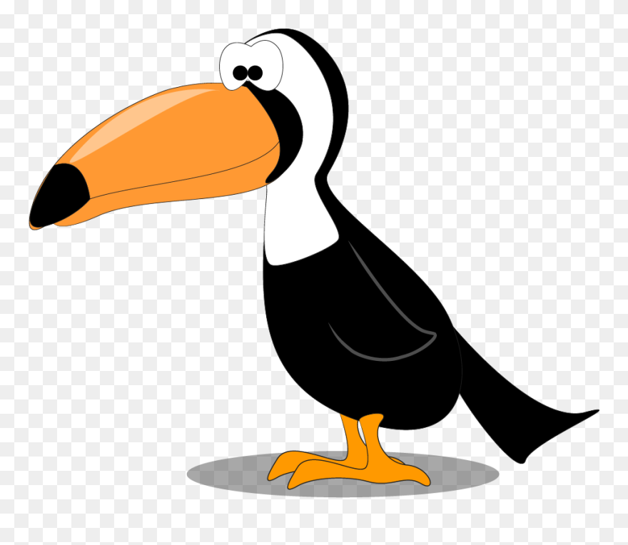 犀 鸟 卡通 Clipart