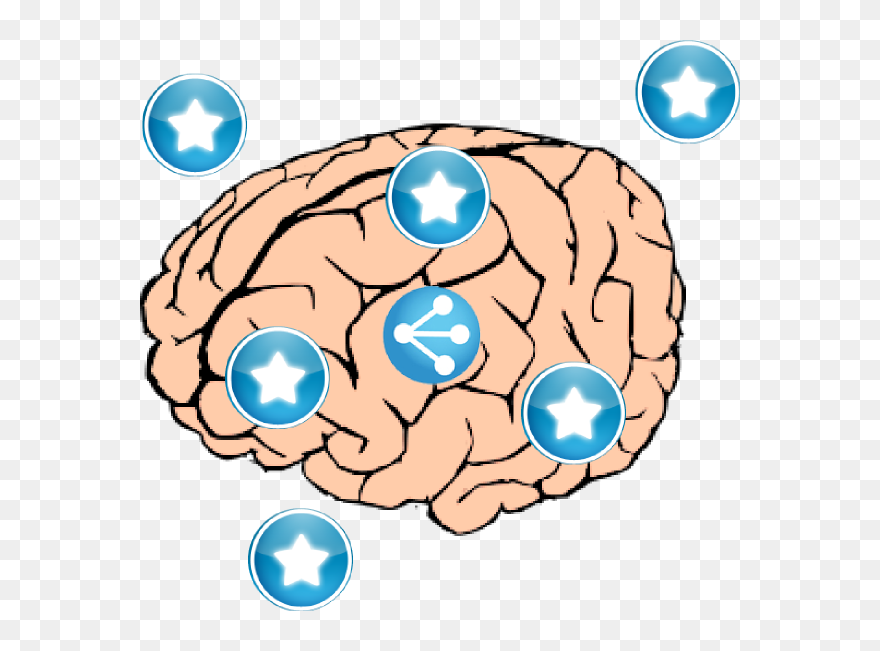 Transparent Background Brain Clipart Png