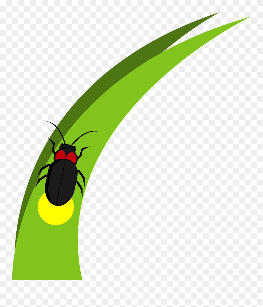 Clip Art - Png Download