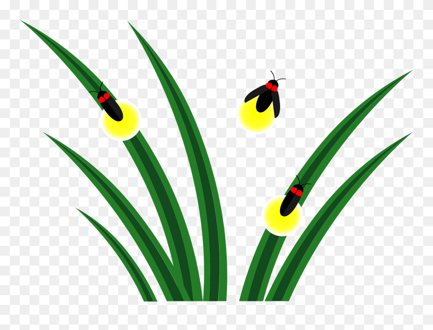 蛍 の 季節 イラスト Clipart