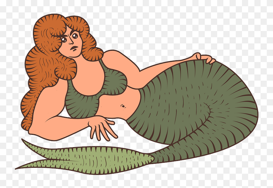 Mermaid Clipart - Cartoon - Png Download