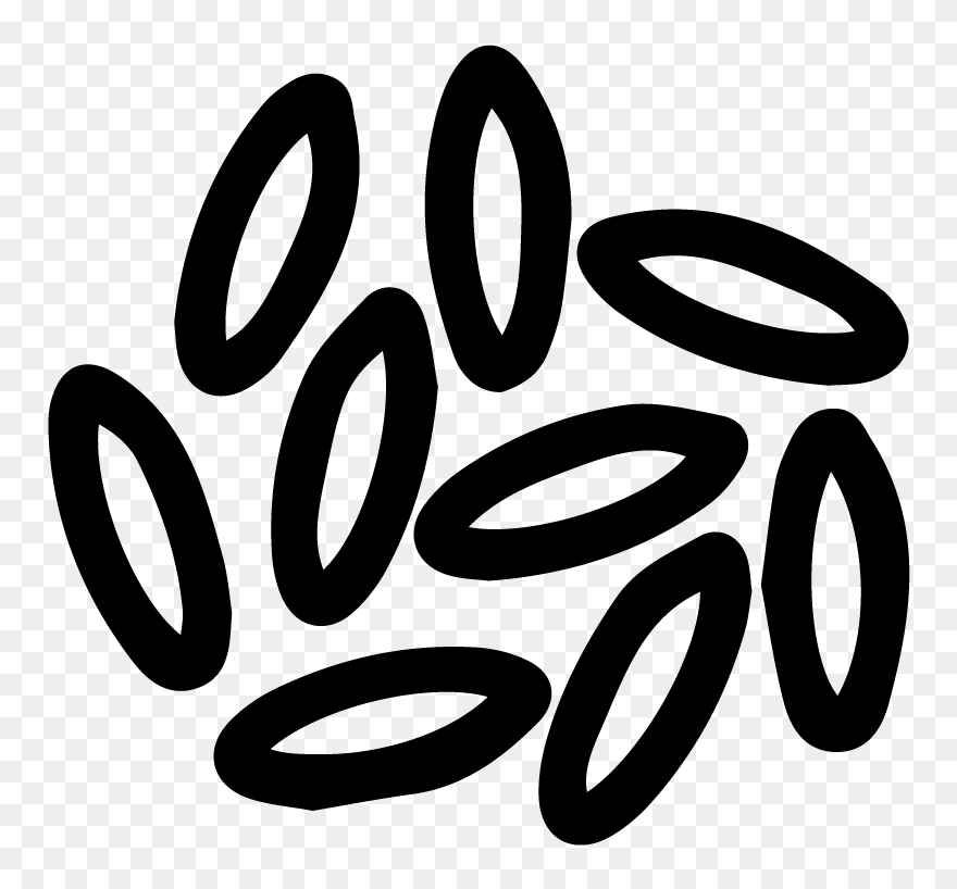 Long Grain Brown Rice Flour - Grains Clipart Black And White - Png Download
