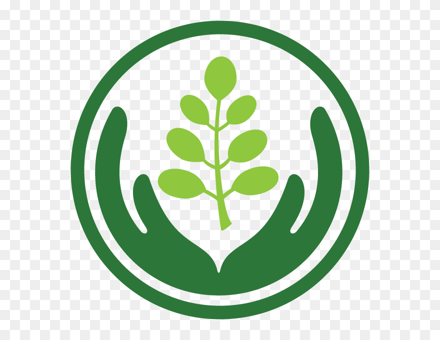 Kuli Kuli, Inc. Clipart
