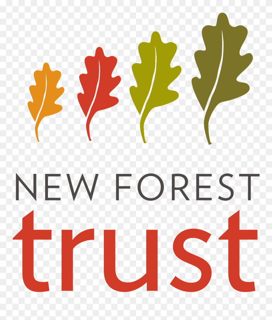 Transparent Penny Farthing Clipart - Png Download