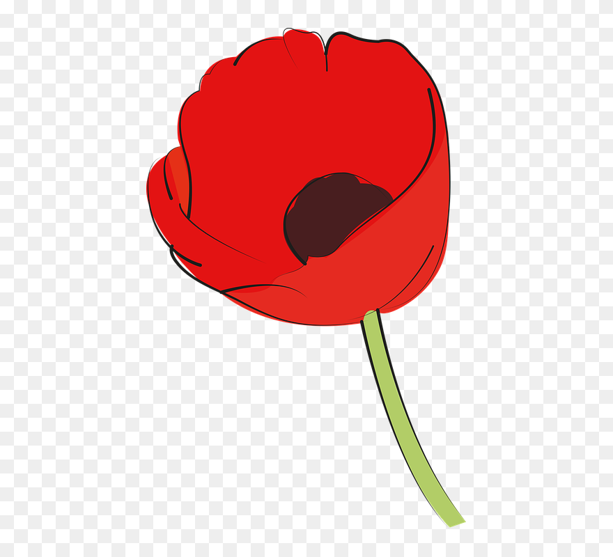 Clip Art - Png Download