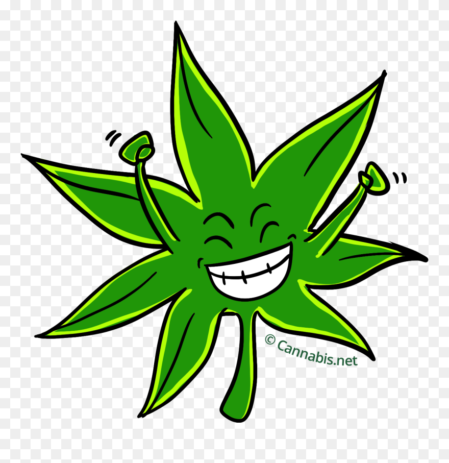 Cannabis Headband Clipart Png Headband Png Transparent Png