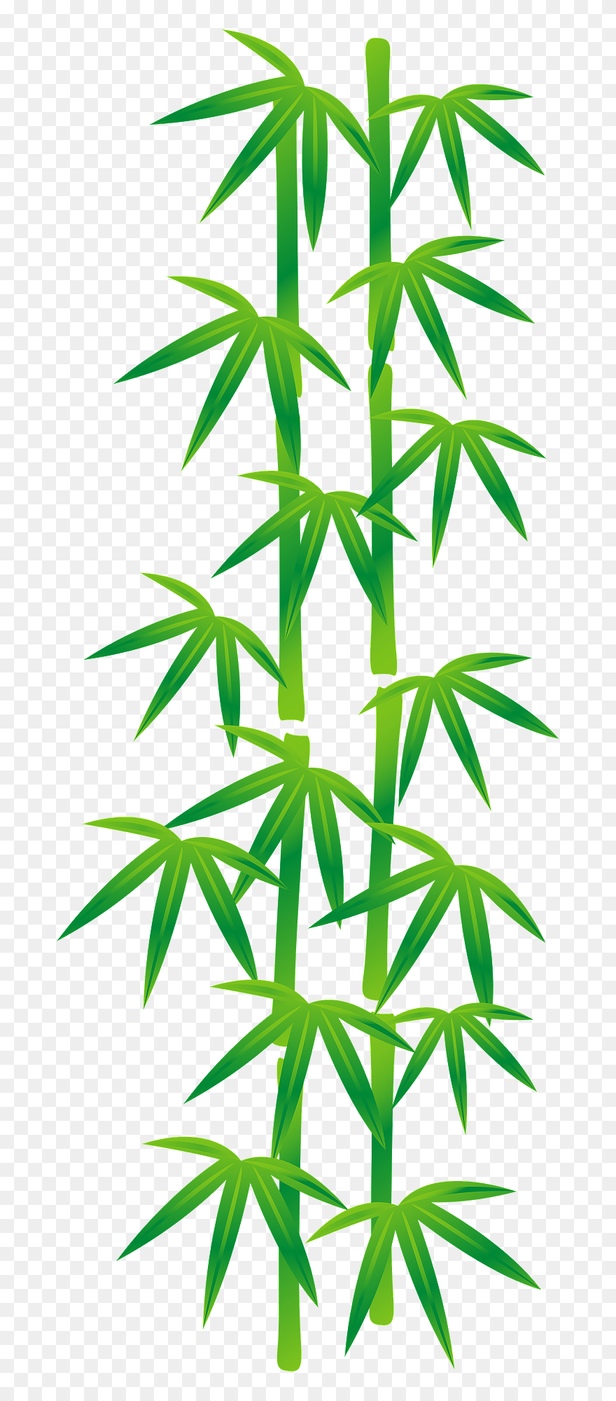 Clip Art - Png Download