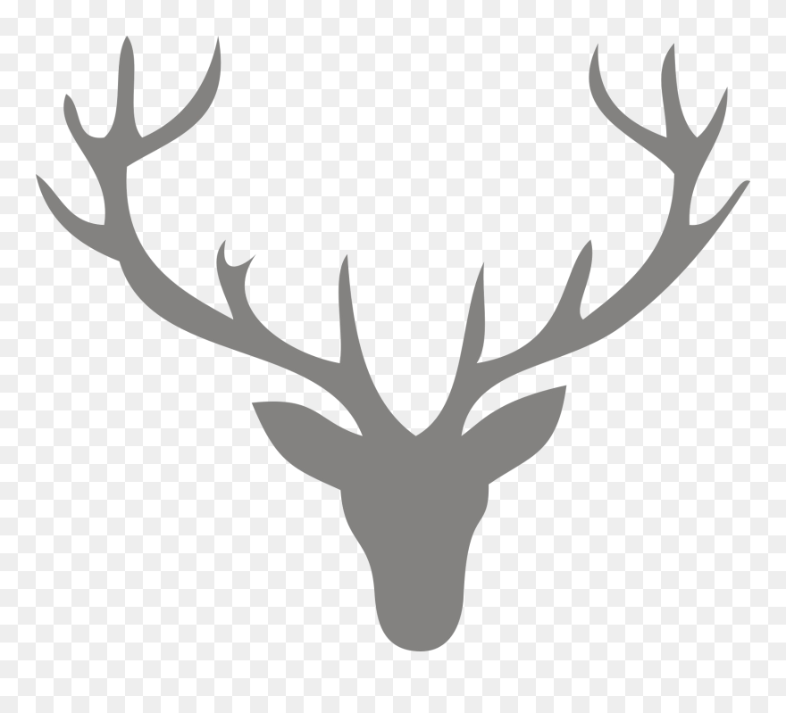 Reindeer Antler Clip Art - Hirschkopf Vorlage - Png Download