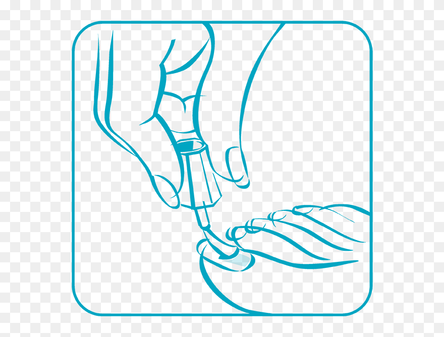 Clip Art - Png Download