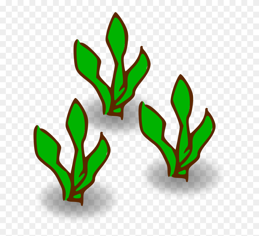 Kelp Forest Heavy - Kelp Clipart - Png Download