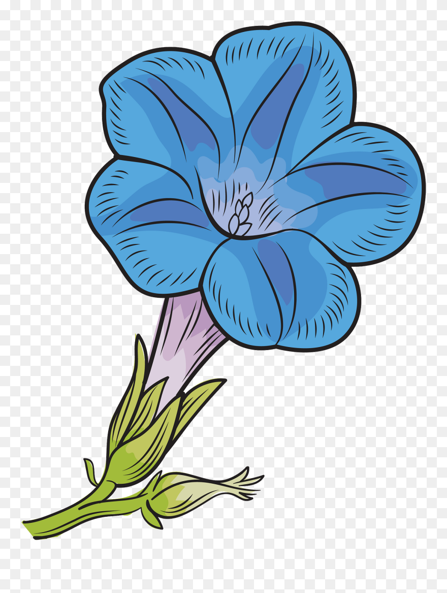 Hawaiian Hibiscus Clipart