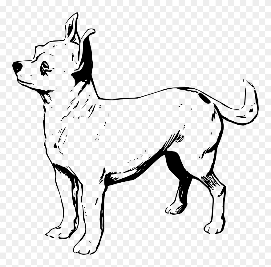 Chihuahua Png Clip Arts - Chihuahua Clipart Black And White Transparent Png