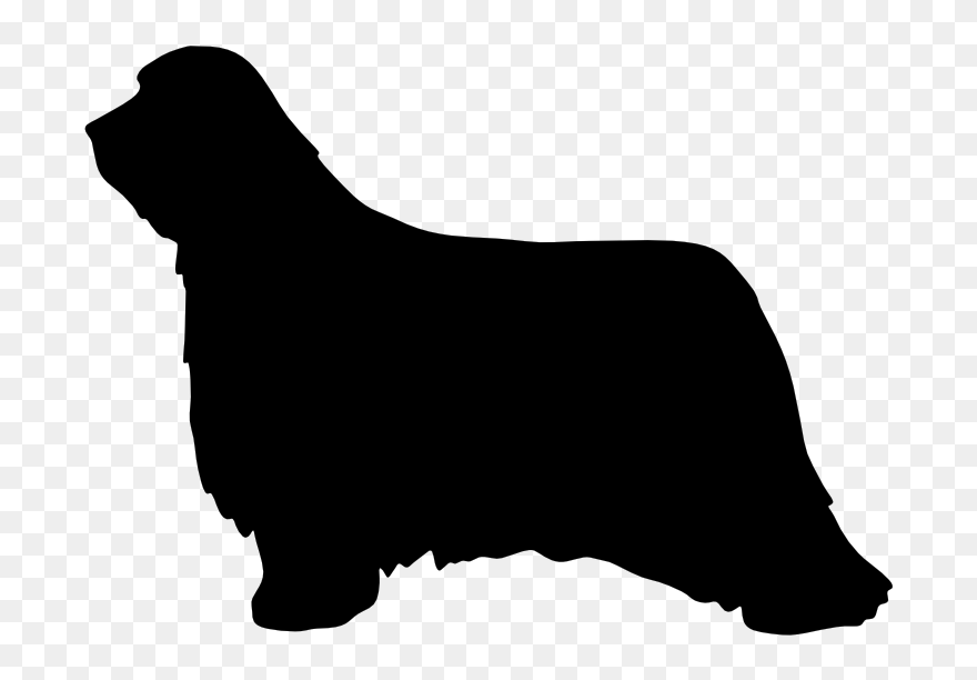 Miniature Dachshund Chihuahua Puppy Clip Art - Long Haired Dachshund Decal - Png Download