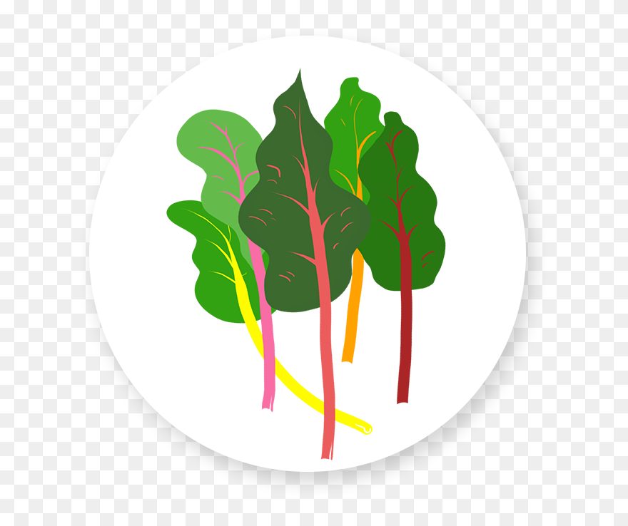 Leafy Green Animated Nutrition Background Clipart