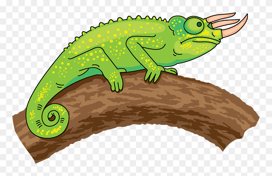 Trioceros Chameleon Clipart - Chameleon Clipart - Png Download