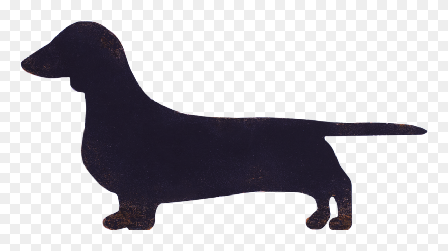 Miniature Dachshund Flat-coated Retriever Dog Breed - Transparent Background Dachshund Clipart - Png Download