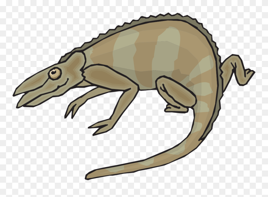 Brown And Gray Chameleon Svg Clip Arts - Chameleons - Png Download