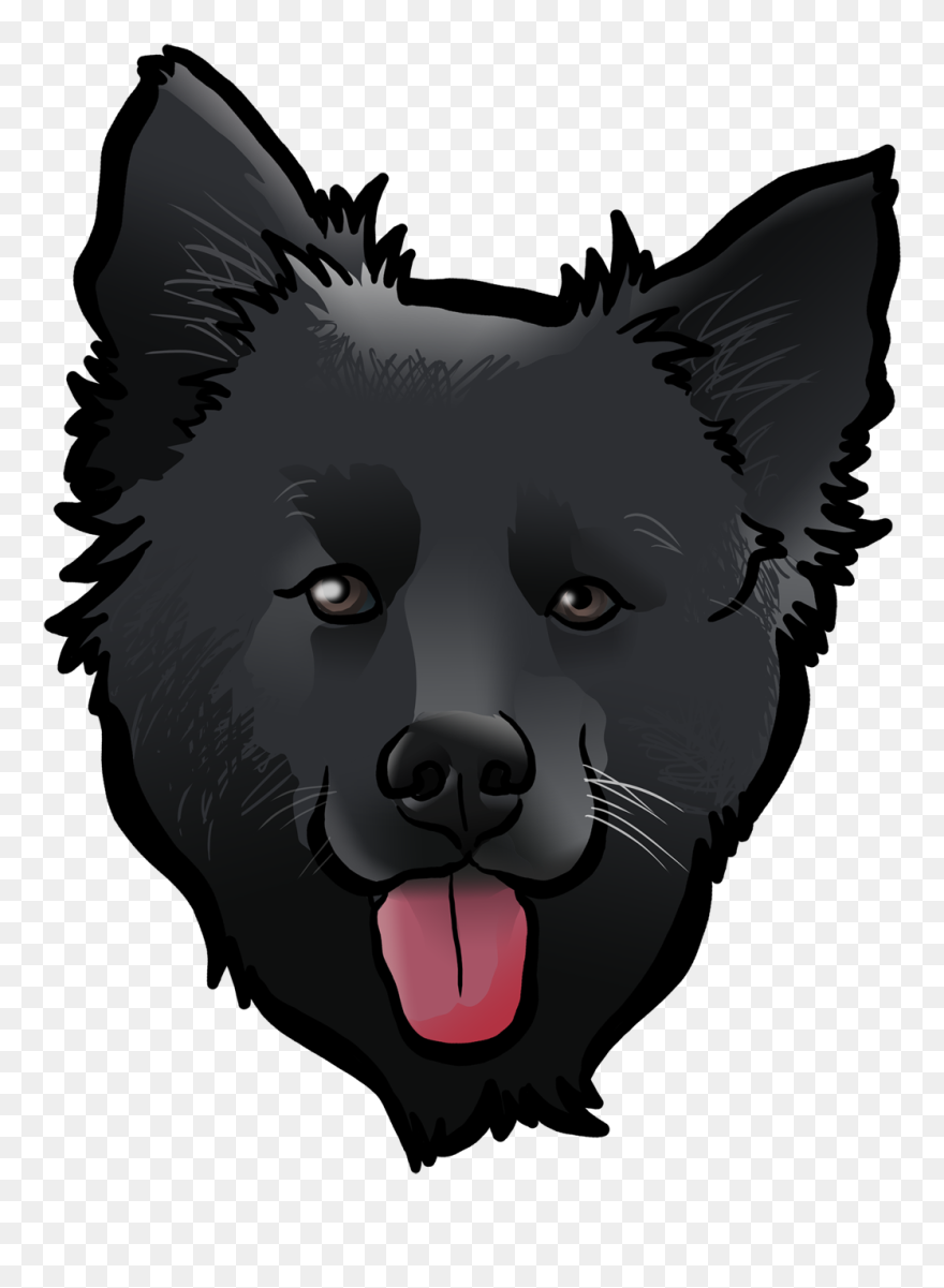 Schipperke Dog Breed Pug Chihuahua Art - Dog Schipperke Cartoon Clipart