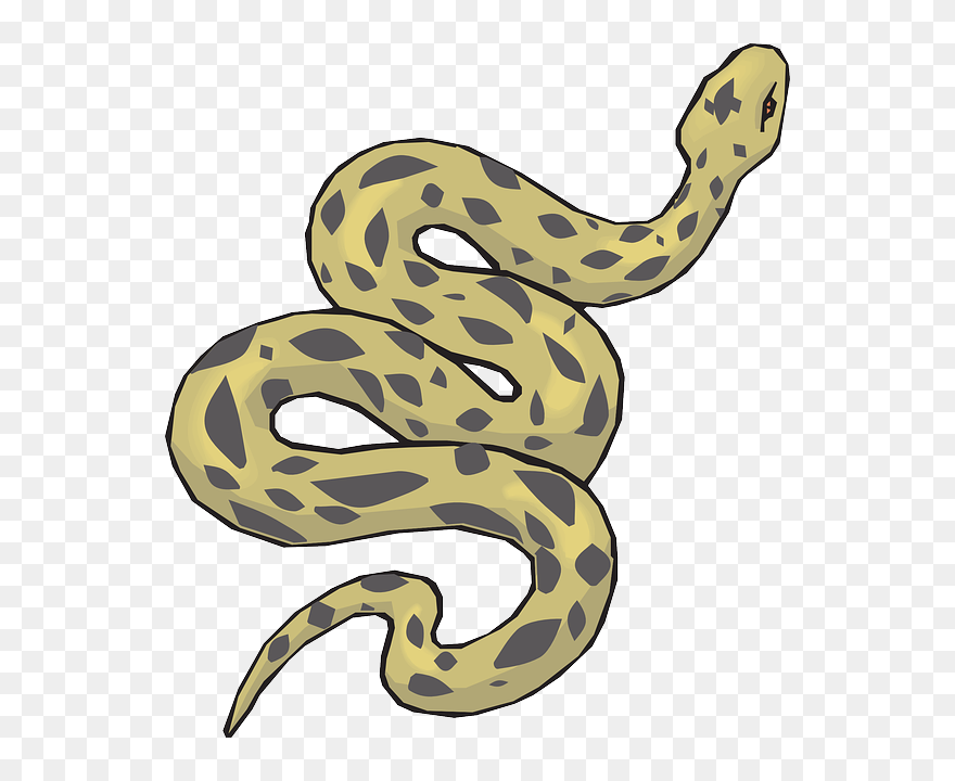 Anaconda Clipart Desert Snake - Clip Art Of A Snake - Png Download