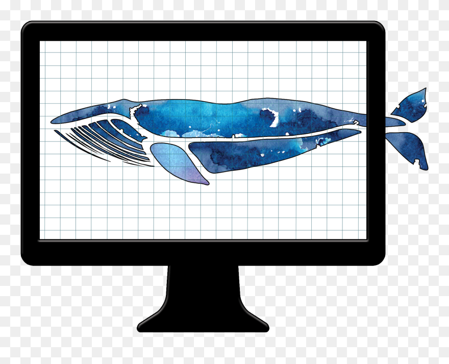 Killer Whale Clipart